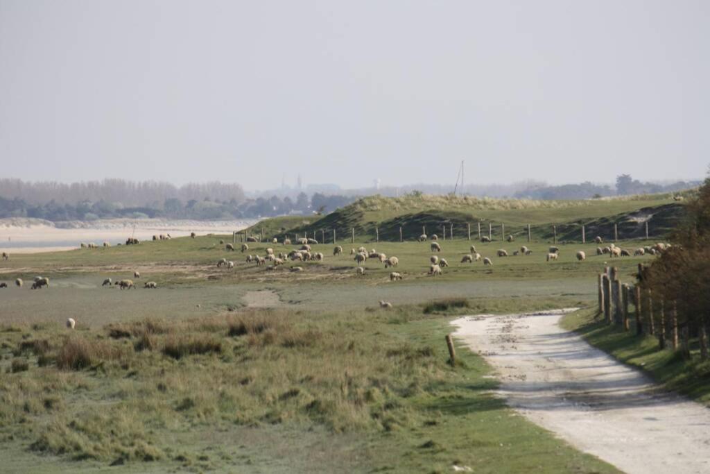 Gite Ouest De La Pointe D'Agon 外观 照片